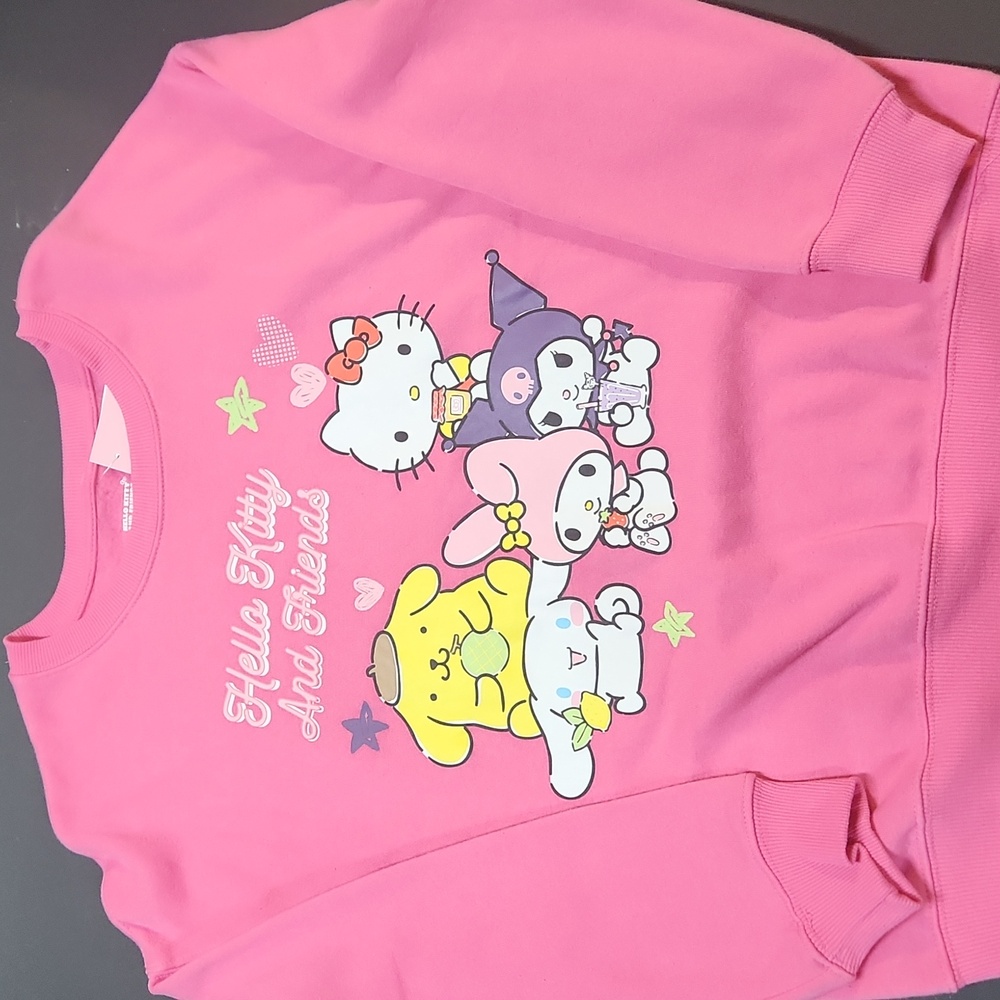 Sanrio Pink Hello Kitty and Friends Apparel